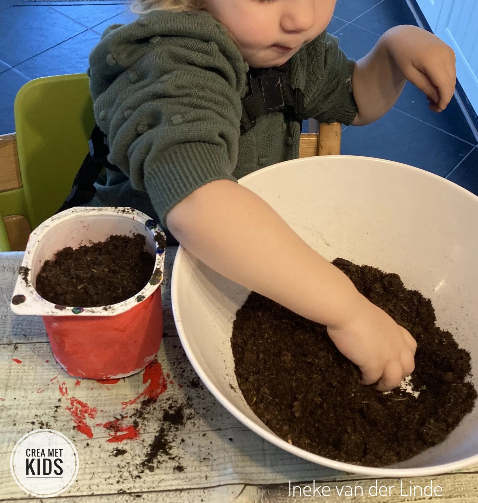 Hyacint in potje knutselen en verven » Crea met kids